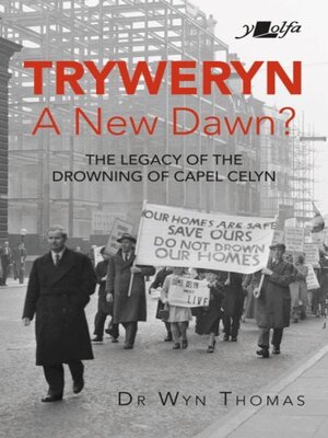 cover image of Tryweryn
